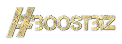 Boostbiz Consulting