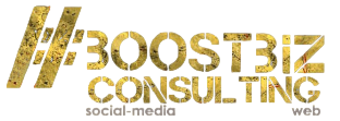 Boostbiz Consulting Logo
