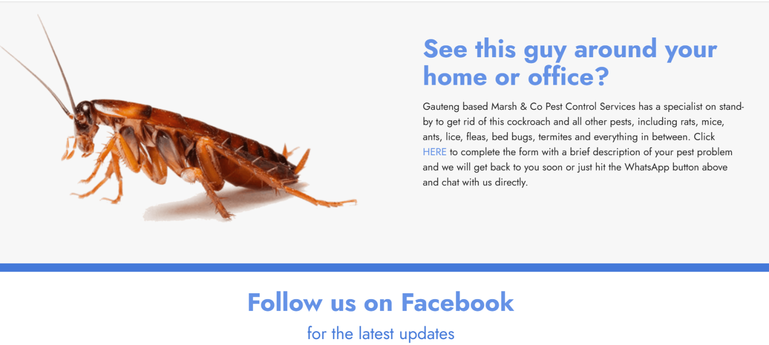 Boostbiz_MarshScreen Boostbiz_Service Website